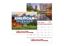 American Splendor Wall Calendar || Custom Calendars and Planners || Stapled, Metallic Foil
