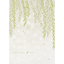 Thinking of You Willow  - Printed Envelope