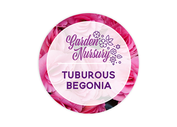 3" Circle 4 Color Process Label