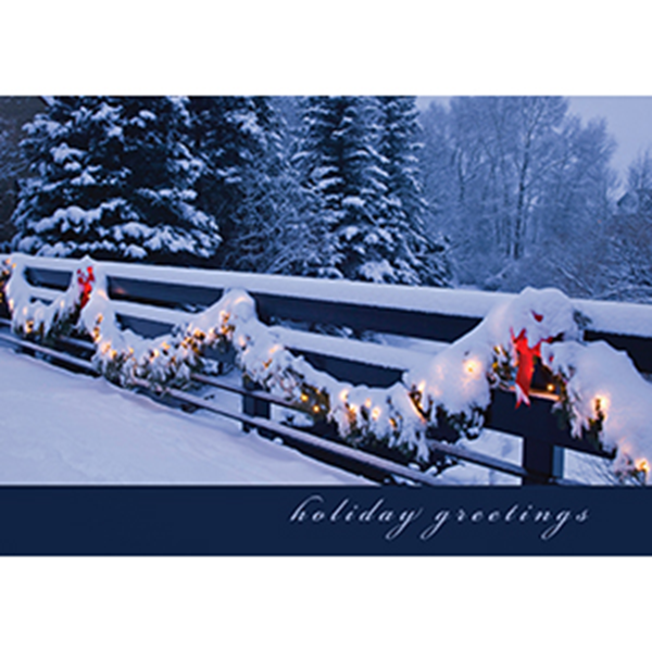 Brilliant Bunting - Printed Envelope